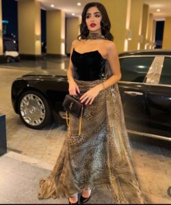 احلى فستان سهرة مخمل مشجر