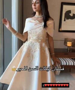فساتين سهرة سن محير جميل جدا