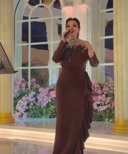 فستان مشاهير فخم وانيق