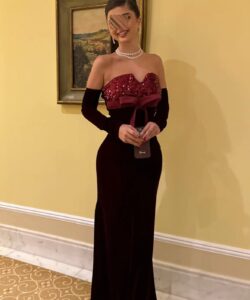 فساتين سهره لون نبيتى مخمل